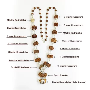 Products 1–14 Mukhi Rudraksha Mala – Nepal Origin (with Ganesh & Gaurishankar Beads)