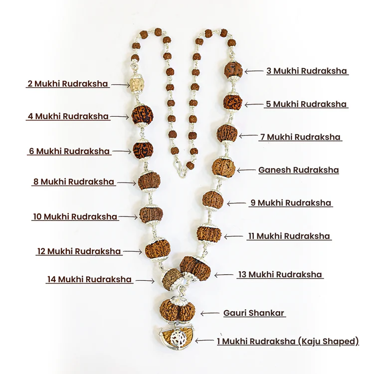 1–14 Mukhi Rudraksha Mala – Nepal Origin (with Ganesh & Gaurishankar Beads) 1–14 Mukhi Rudraksha Mala – Nepal Origin (with Ganesh & Gaurishankar Beads)